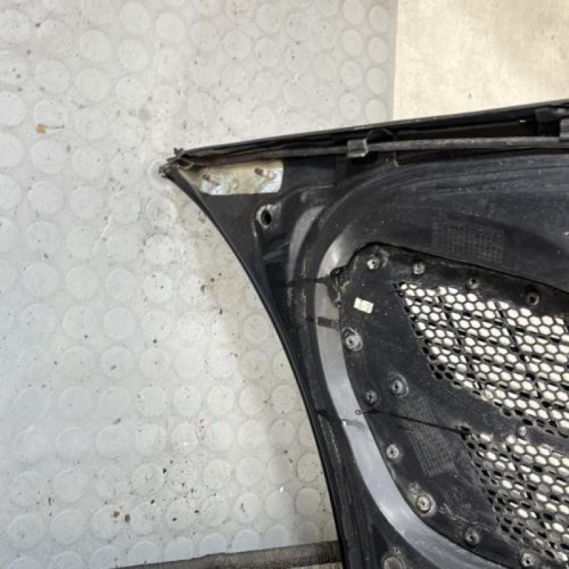 Capot PEUGEOT 206+ Photo n°8