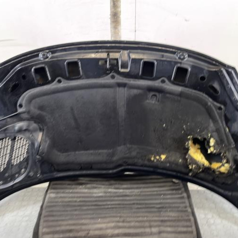 Capot PEUGEOT 206+ Photo n°10