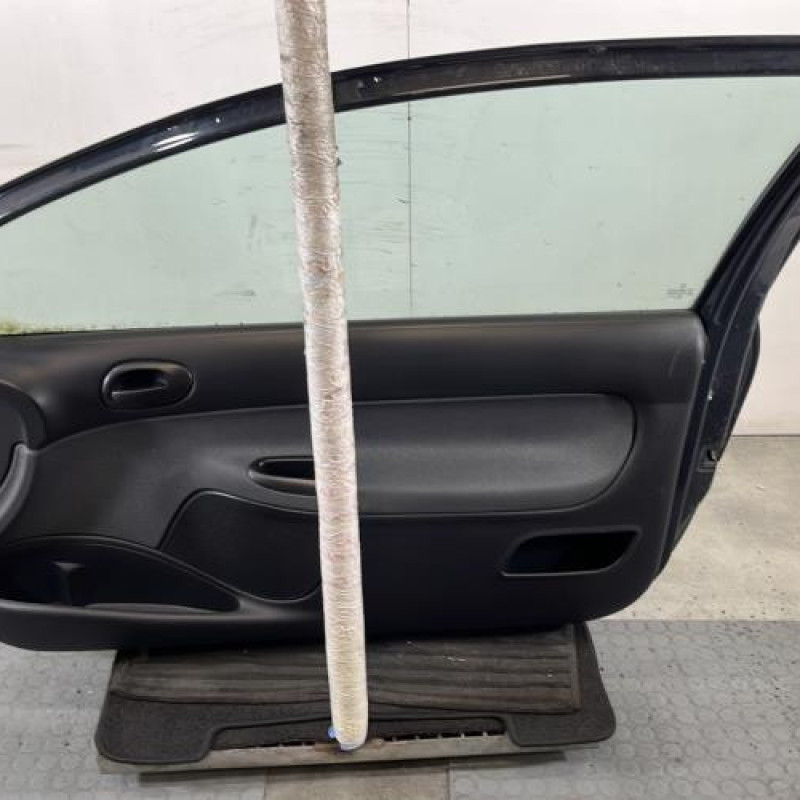 Porte avant droit PEUGEOT 206+ Photo n°6