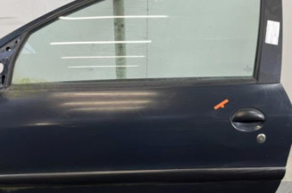 Porte avant gauche PEUGEOT 206+ Photo n°1