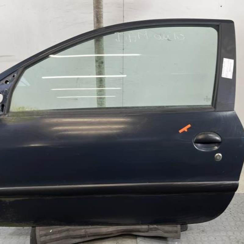 Porte avant gauche PEUGEOT 206+ Photo n°1