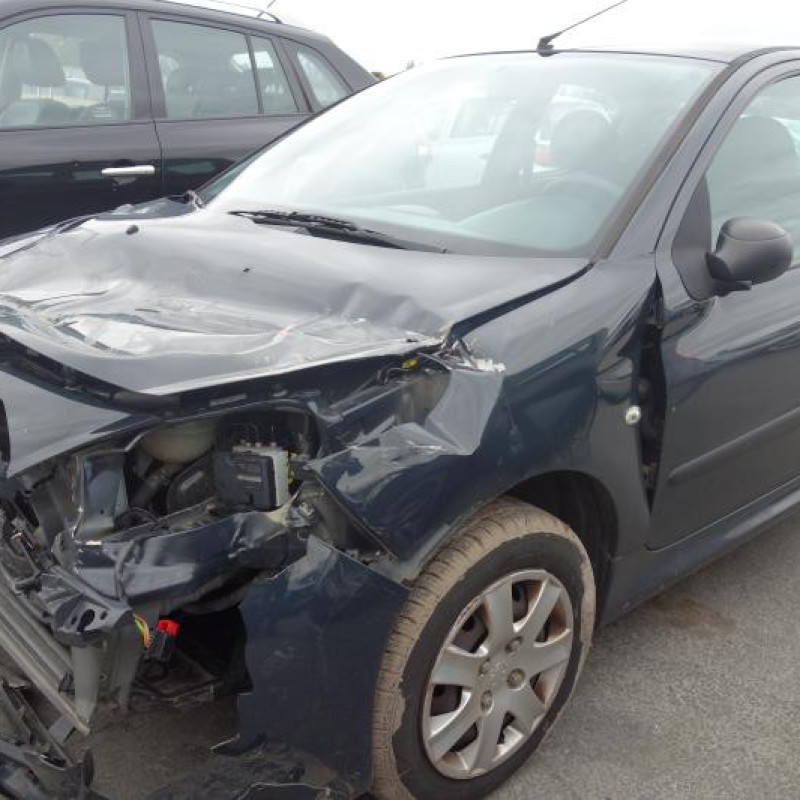 Porte avant gauche PEUGEOT 206+ Photo n°8