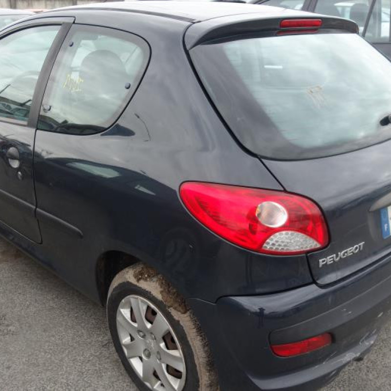 Porte avant gauche PEUGEOT 206+ Photo n°11