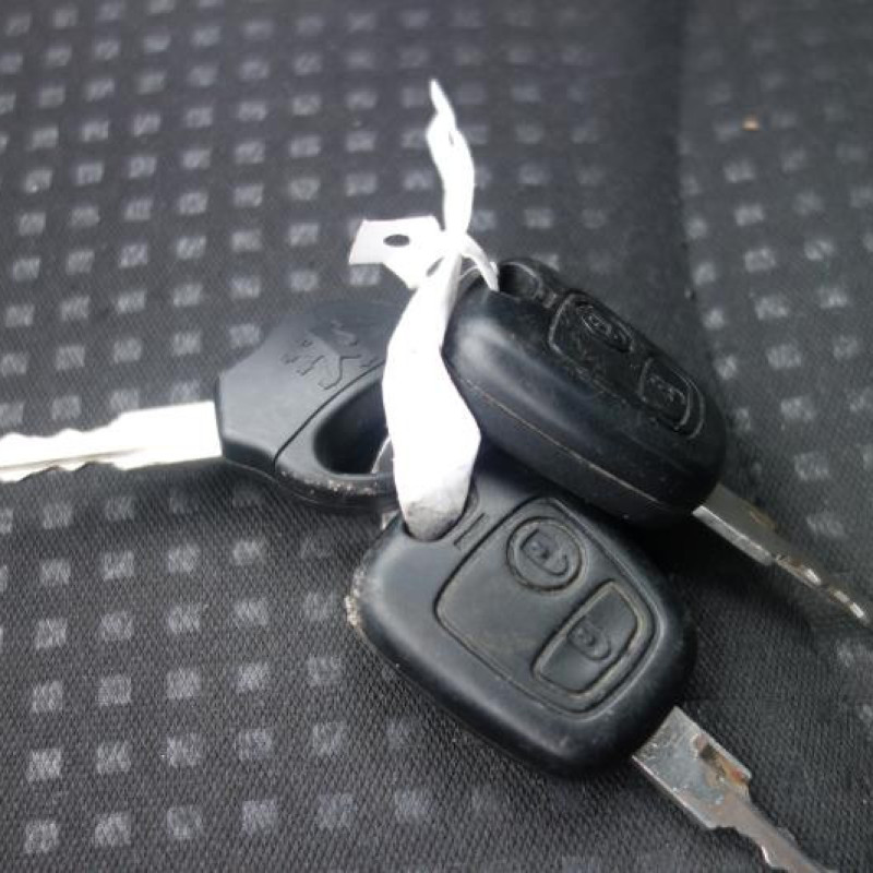 Porte avant gauche PEUGEOT 206+ Photo n°16