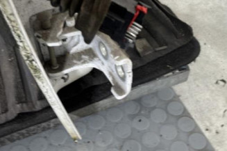 Porte arriere droit CITROEN C3 1