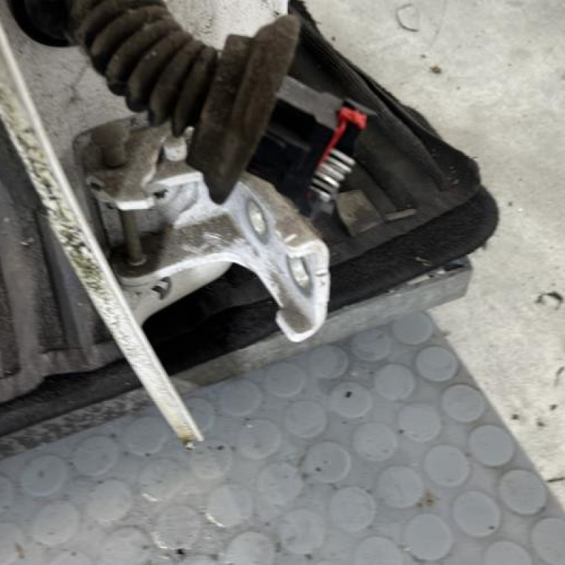 Porte arriere droit CITROEN C3 1 Photo n°3