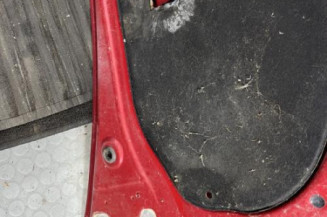 Capot RENAULT CLIO 3