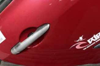 Porte arriere droit RENAULT CLIO 3