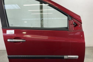 Porte avant droit RENAULT CLIO 3 Photo n°1