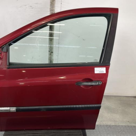 Porte avant gauche RENAULT CLIO 3 Photo n°1