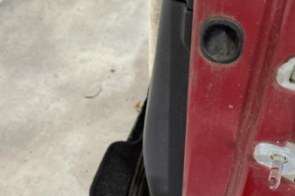 Porte avant gauche RENAULT CLIO 3