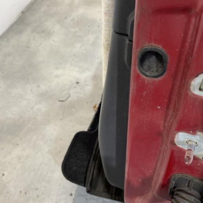 Porte avant gauche RENAULT CLIO 3 Photo n°4