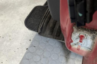 Porte avant gauche RENAULT CLIO 3