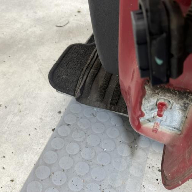 Porte avant gauche RENAULT CLIO 3 Photo n°5