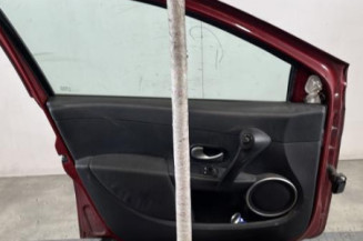 Porte avant gauche RENAULT CLIO 3