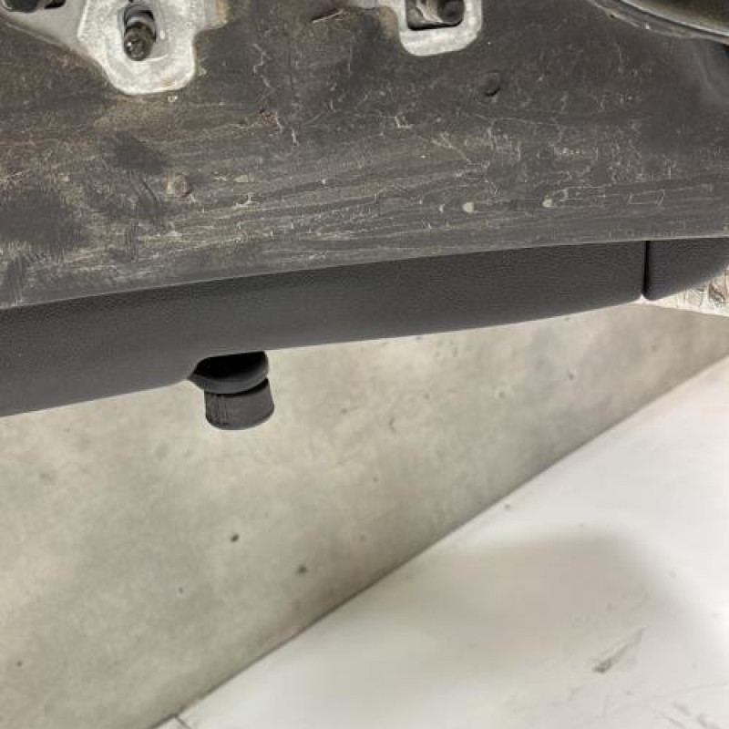 Porte arriere droit RENAULT CLIO 3 Photo n°3