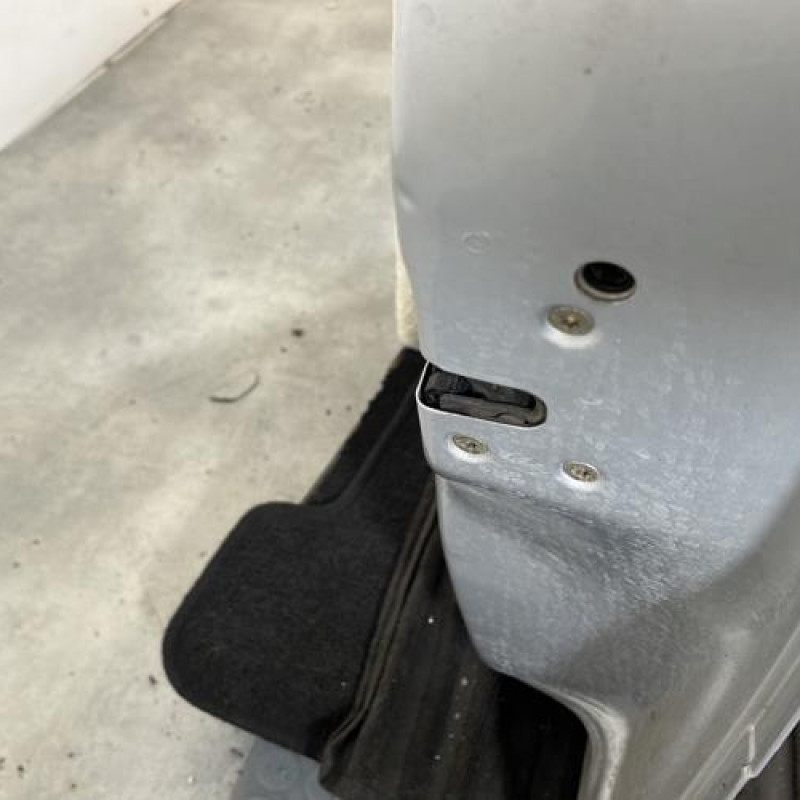 Porte avant droit CITROEN C3 1 Photo n°3