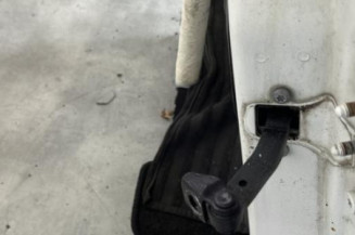 Porte avant gauche BMW SERIE 1 E81