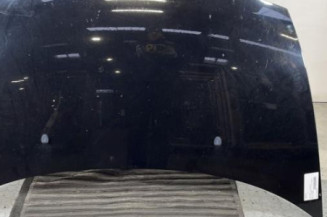 Capot CITROEN C3 1 Photo n°1