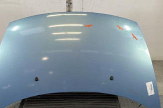 Capot CITROEN C3 1 Photo n°1