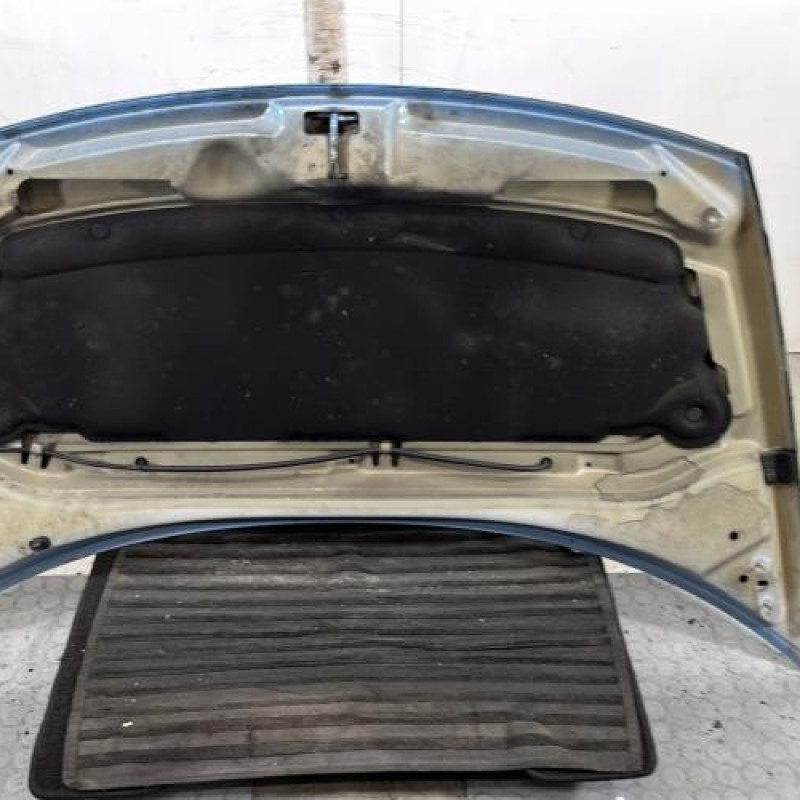 Capot CITROEN C3 1 Photo n°10