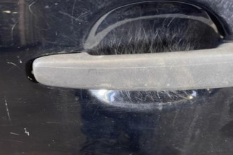 Porte avant gauche CITROEN C3 1