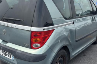 Capot PEUGEOT 1007