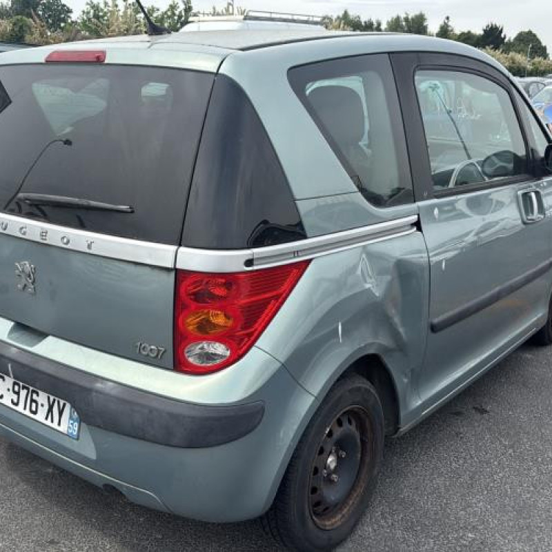Capot PEUGEOT 1007 Photo n°3