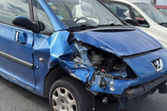 Mastervac PEUGEOT 1007