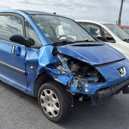 Mastervac PEUGEOT 1007