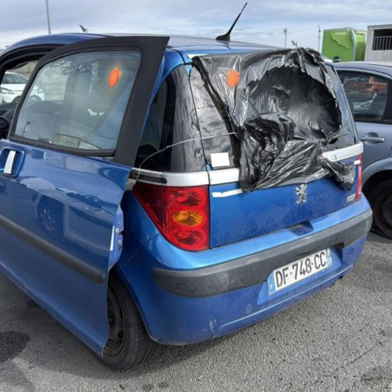 Mastervac PEUGEOT 1007 Photo n°4