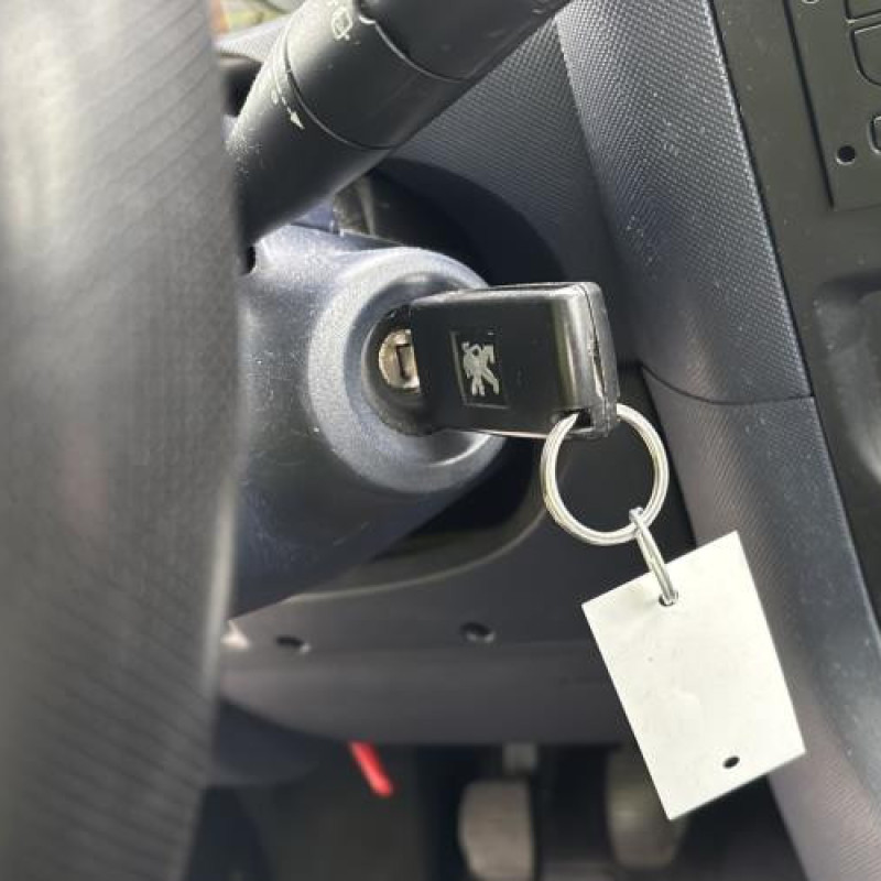 Mastervac PEUGEOT 1007 Photo n°17