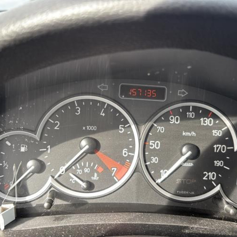 Poignee interieur arriere gauche PEUGEOT 206 Photo n°19