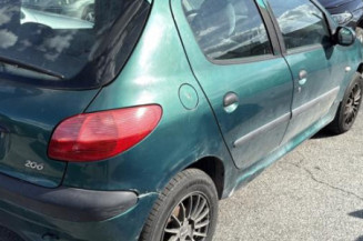 Mastervac PEUGEOT 206