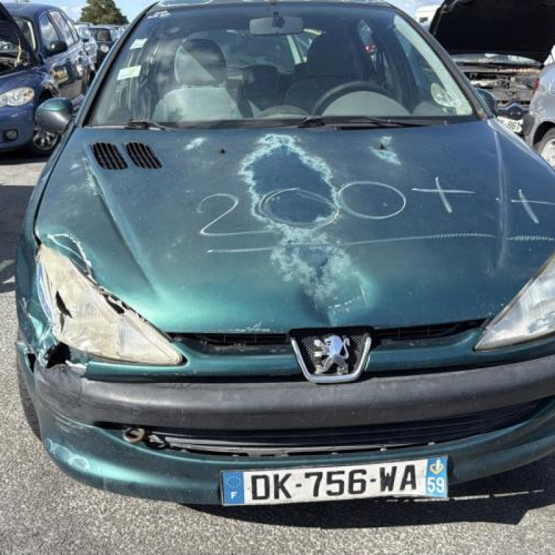 Mastervac PEUGEOT 206 Photo n°9