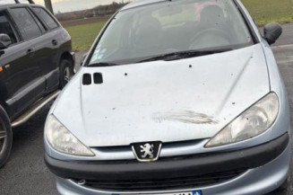 Mastervac PEUGEOT 206