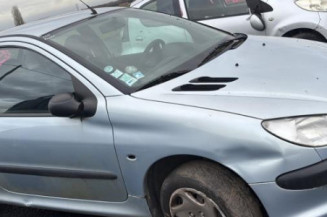 Mastervac PEUGEOT 206