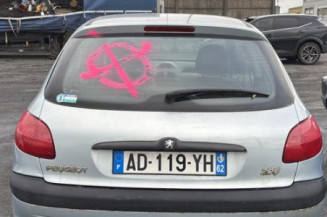 Mastervac PEUGEOT 206