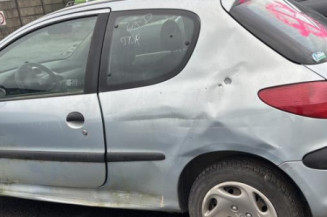 Mastervac PEUGEOT 206