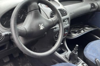 Mastervac PEUGEOT 206