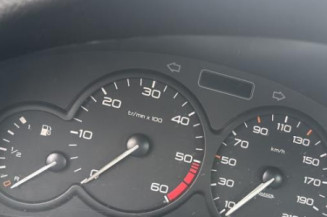 Mastervac PEUGEOT 206