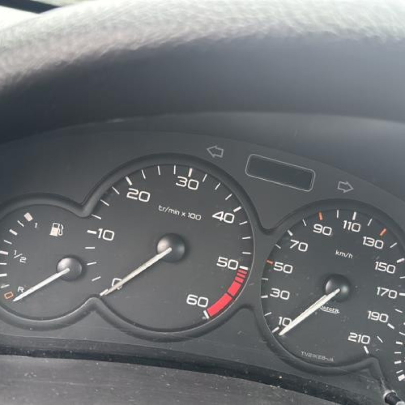 Mastervac PEUGEOT 206 Photo n°16