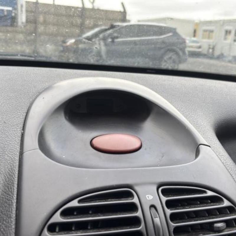 Mastervac PEUGEOT 206 Photo n°17