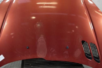 Capot PEUGEOT 206 Photo n°1