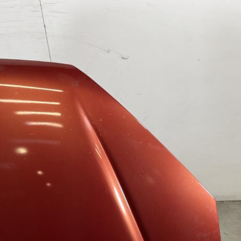 Capot PEUGEOT 206 Photo n°3