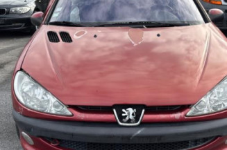 Feu arriere principal gauche (feux) PEUGEOT 206