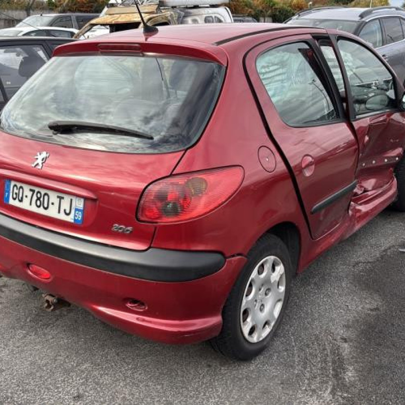 Porte avant gauche PEUGEOT 206 Photo n°3
