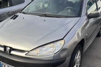 Mastervac PEUGEOT 206 Photo n°1