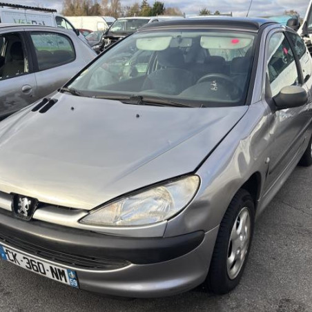 Mastervac PEUGEOT 206 Photo n°1