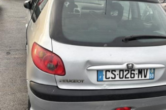 Mastervac PEUGEOT 206